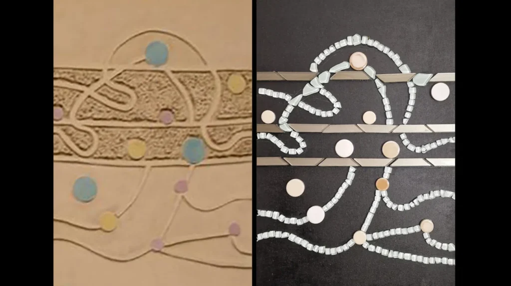 1co 20250926 175710 collage