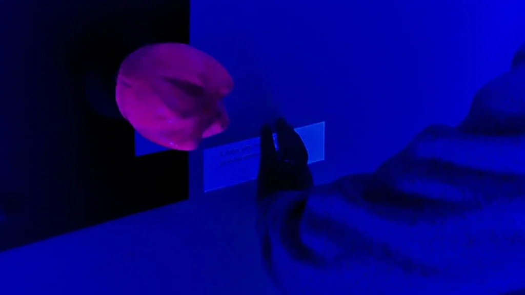 img 20251009 175918o